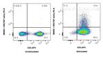 TNF Beta Antibody in Flow Cytometry (Flow)