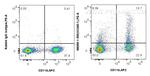 VCAM-1/CD106 Antibody in Flow Cytometry (Flow)