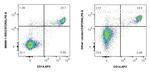 CSF2RA/CD116 Antibody in Flow Cytometry (Flow)