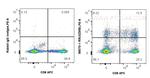 Granzyme B Antibody in Flow Cytometry (Flow)