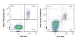 CD79b Antibody in Flow Cytometry (Flow)