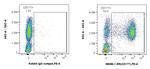CD177 Antibody in Flow Cytometry (Flow)