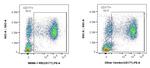 CD177 Antibody in Flow Cytometry (Flow)