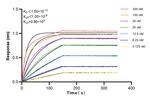 CD23 Antibody in Surface plasmon resonance (SPR)