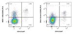 CD200 Antibody in Flow Cytometry (Flow)