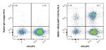 SLAMF7/CD319 Antibody in Flow Cytometry (Flow)