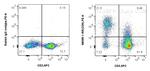CD9 Antibody in Flow Cytometry (Flow)