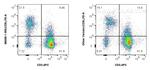 CD9 Antibody in Flow Cytometry (Flow)
