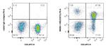 BTLA/CD272 Antibody in Flow Cytometry (Flow)