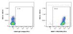 ICAM3/CD50 Antibody in Flow Cytometry (Flow)