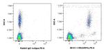 SIRP Alpha/CD172a Antibody in Flow Cytometry (Flow)