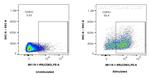 CD83 Antibody in Flow Cytometry (Flow)