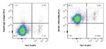 CD98 Antibody in Flow Cytometry (Flow)