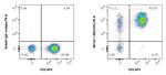 CD2 Antibody in Flow Cytometry (Flow)