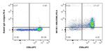 Fas/CD95 Antibody in Flow Cytometry (Flow)