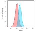 E-Cadherin (CDH1)/CD324 (Intercellular Junction Marker) Antibody in Flow Cytometry (Flow)