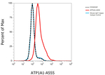 Mouse IgG1 Cross-Adsorbed Secondary Antibody in Flow Cytometry (Flow)