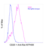 Rat IgG (H+L) Highly Cross-Adsorbed Secondary Antibody in Flow Cytometry (Flow)