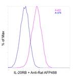 Rat IgG (H+L) Highly Cross-Adsorbed Secondary Antibody in Flow Cytometry (Flow)