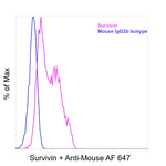 Mouse IgG (H+L) Cross-Adsorbed Secondary Antibody in Flow Cytometry (Flow)