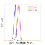 Rabbit IgG (H+L) Cross-Adsorbed Secondary Antibody in Flow Cytometry (Flow)