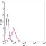 HA Tag Antibody in Flow Cytometry (Flow)