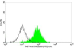 DYKDDDDK Tag Antibody in Flow Cytometry (Flow)