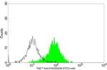 DYKDDDDK Tag Antibody in Flow Cytometry (Flow)