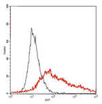 GFP Antibody in Flow Cytometry (Flow)