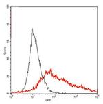 GFP Antibody in Flow Cytometry (Flow)