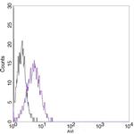Avi Tag Antibody in Flow Cytometry (Flow)