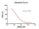 ADP Antibody in ELISA (ELISA)