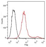 DYKDDDDK Tag Antibody in Flow Cytometry (Flow)