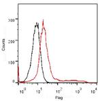 DYKDDDDK Tag Antibody in Flow Cytometry (Flow)