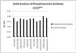 Phosphotyrosine Antibody in ELISA (ELISA)