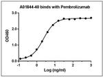 Pembrolizumab Antibody in ELISA (ELISA)