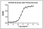 Pembrolizumab Antibody in ELISA (ELISA)