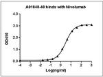 Nivolumab Antibody in ELISA (ELISA)