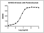Pembrolizumab Antibody in ELISA (ELISA)