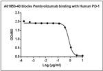 Pembrolizumab Antibody in ELISA (ELISA)