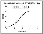 DYKDDDDK Tag Antibody in ELISA (ELISA)