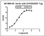 DYKDDDDK Tag Antibody in ELISA (ELISA)