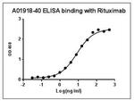 Rituximab Antibody in ELISA (ELISA)