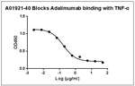 Adalimumab Antibody in ELISA (ELISA)