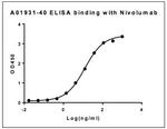 Nivolumab Antibody in ELISA (ELISA)