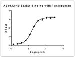 Tocilizumab Antibody in ELISA (ELISA)