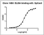 SpCas9 Antibody in ELISA (ELISA)