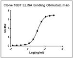 Obinutuzumab Antibody in ELISA (ELISA)