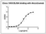 Atezolizumab Antibody in ELISA (ELISA)