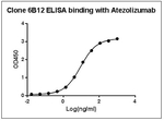 Atezolizumab Antibody in ELISA (ELISA)